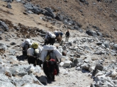small_223