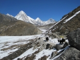 small_224