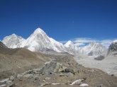 small_294