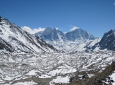 small_295