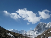 small_419
