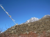 small_430