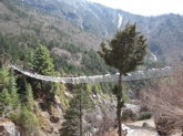 small_441
