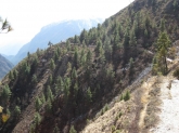 small_444