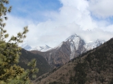 small_446