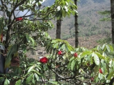 small_465
