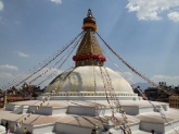 small_494